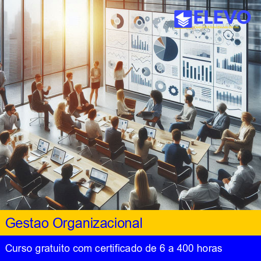 Gestao Organizacional